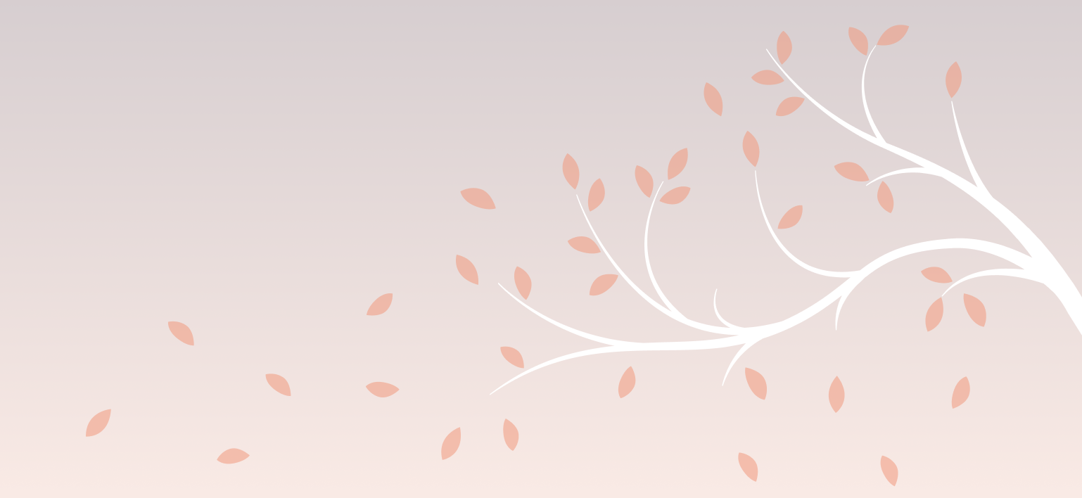 The Llanelli-Dinefwr Hospice Appeal Fund